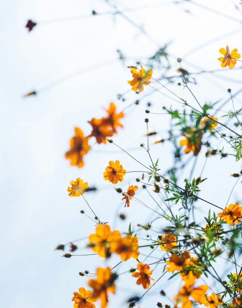 masaaki-komori-7xP5BJ34ybg-unsplash_Vertical