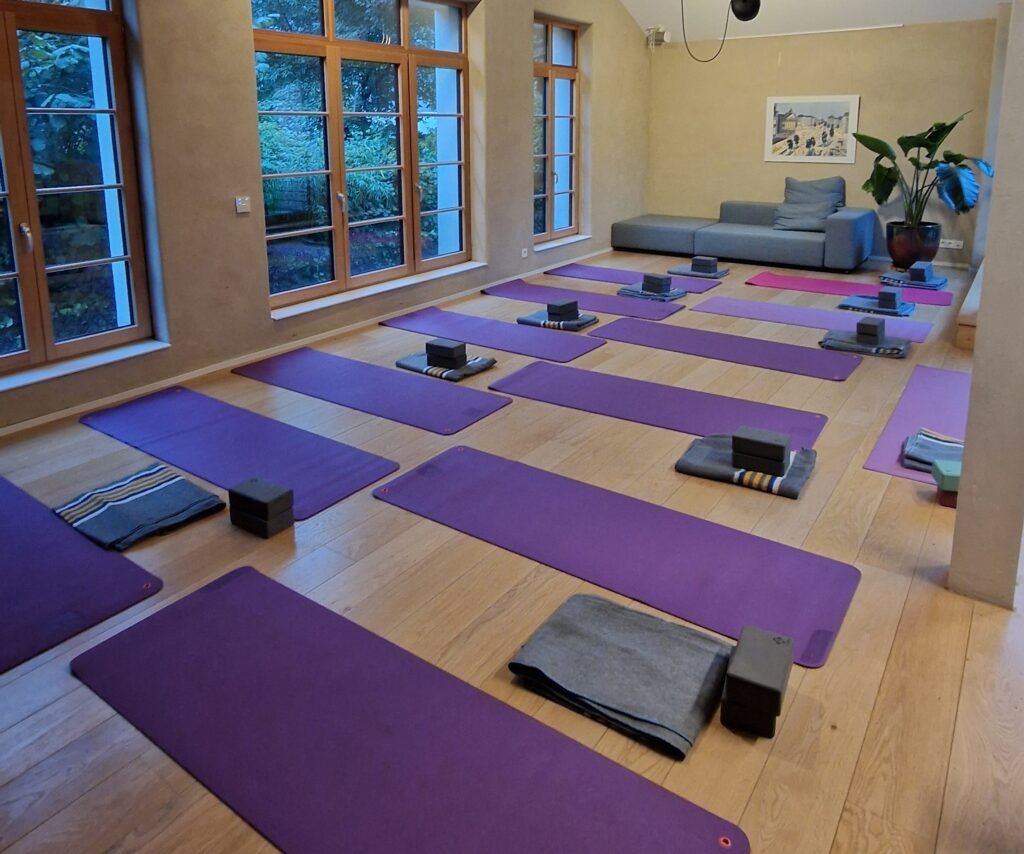 Sasasa-Jean_jaures2_web